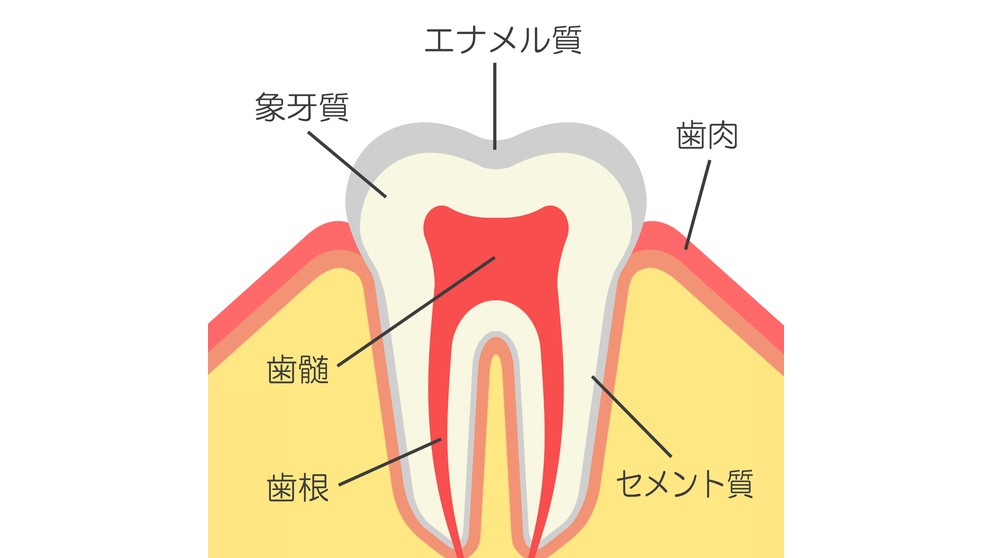 春日井市のジルコニア